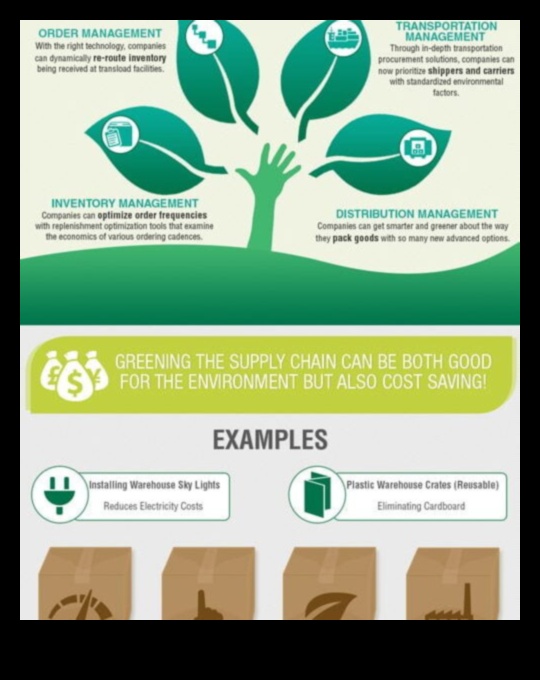 Ilgtspējīgas piegādes ķēdes izveide: videi draudzīga prakse mazajiem uzņēmumiem