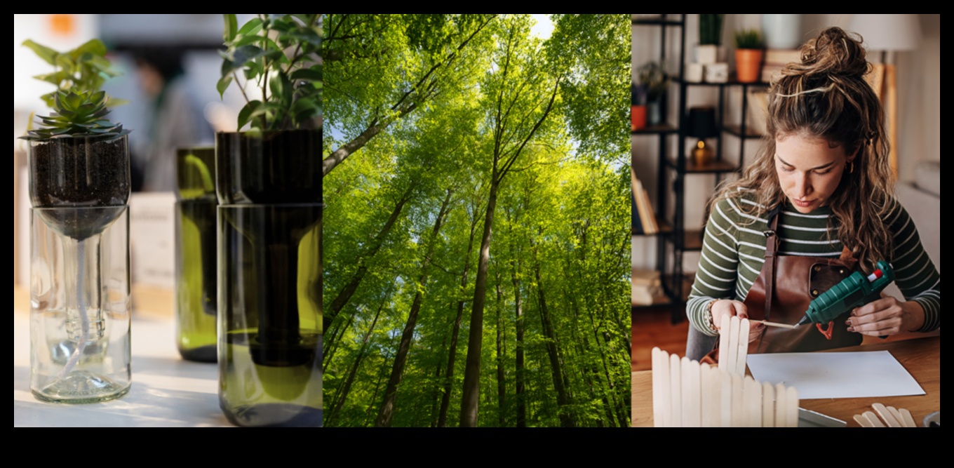 Zaļo horizontu izstrāde: tendences un uzvaras radošajā mākslā un videi draudzīgā jomā