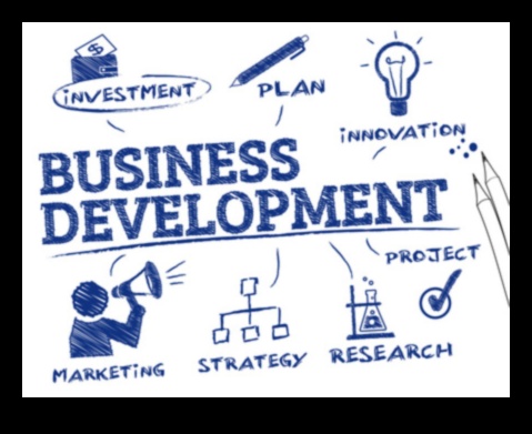 Panākumu izkopšana: ceļvedis efektīvai biznesa attīstībai