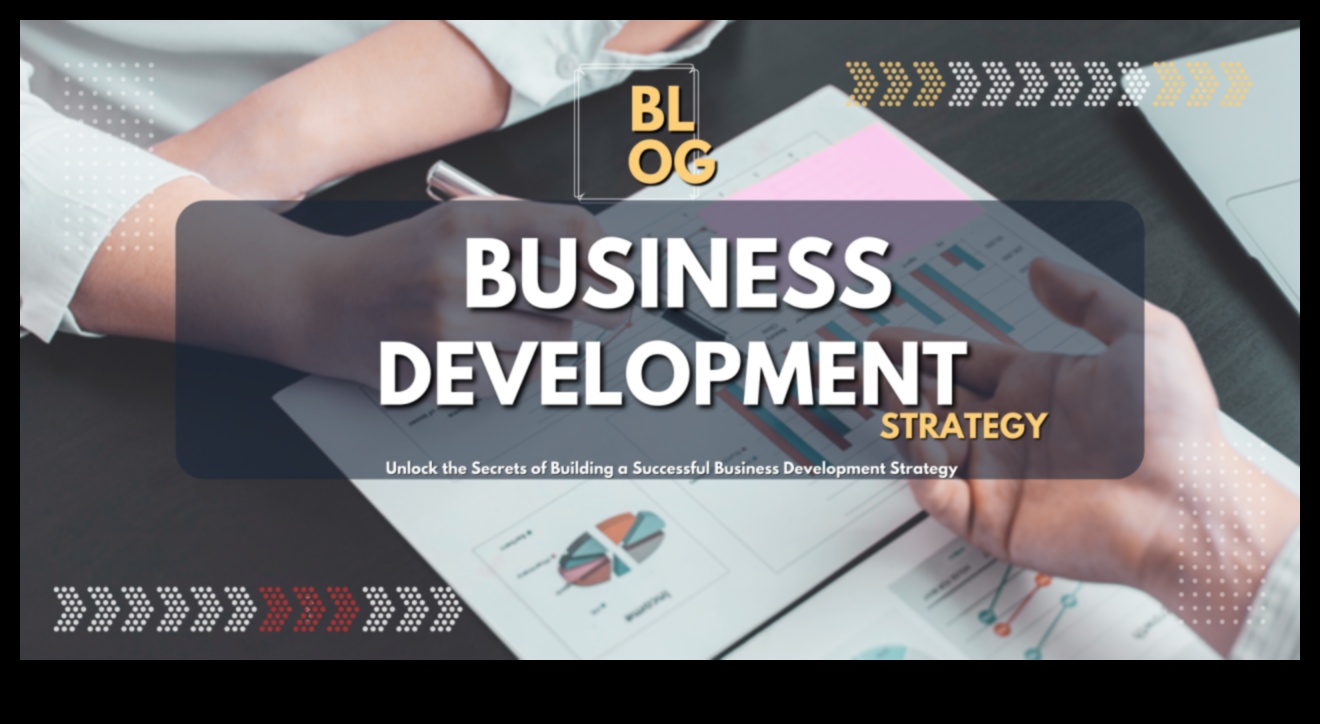 Panākumu izkopšana: ceļvedis efektīvai biznesa attīstībai