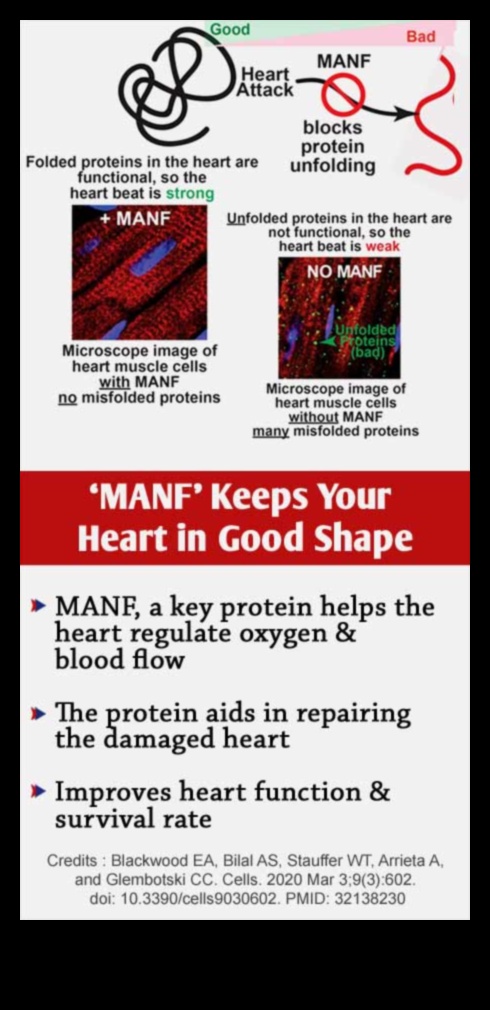 Olbaltumvielu ietekme uz sirds un asinsvadu labsajūtu