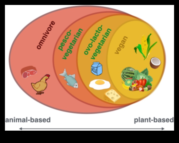 Vegānisms un kuņģa-zarnu trakta harmonija: līdzsvara atrašana