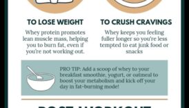 Olbaltumvielu laika noteikšanas nozīme uzturā ar augstu olbaltumvielu saturu