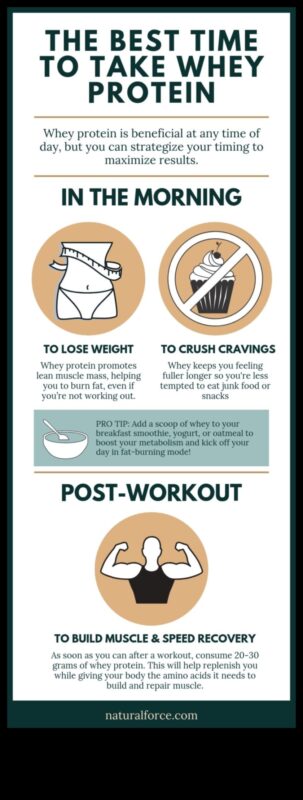 Olbaltumvielu laika noteikšanas nozīme uzturā ar augstu olbaltumvielu saturu