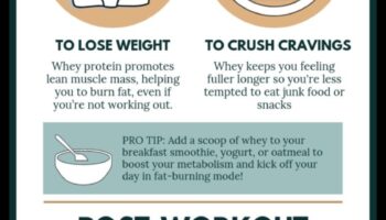 Olbaltumvielu laika noteikšanas nozīme uzturā ar augstu olbaltumvielu saturu