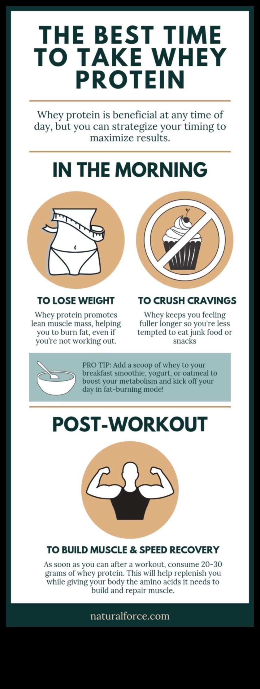 Olbaltumvielu laika noteikšanas nozīme uzturā ar augstu olbaltumvielu saturu