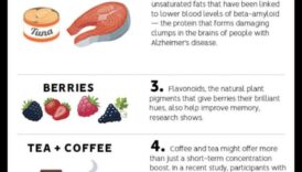 Diētas ar augstu olbaltumvielu saturu un garīgā skaidrība: holistisks skatījums