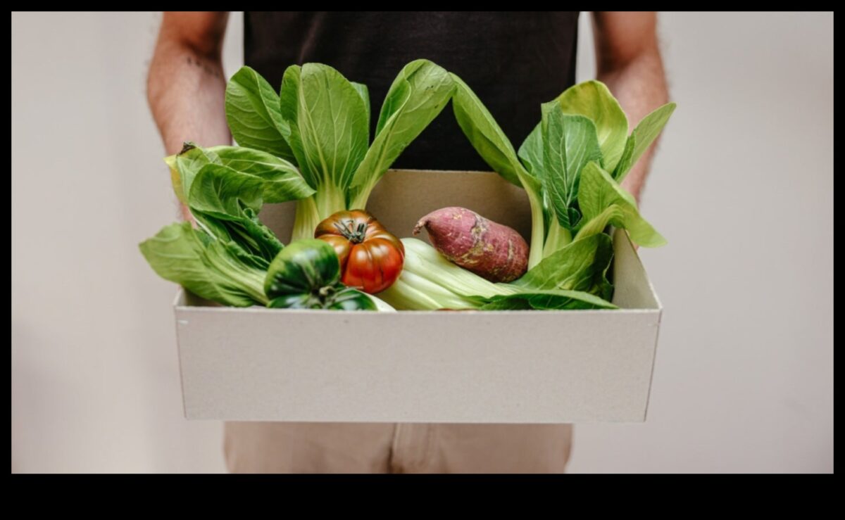 Keto un vides ilgtspējība: holistiska perspektīva