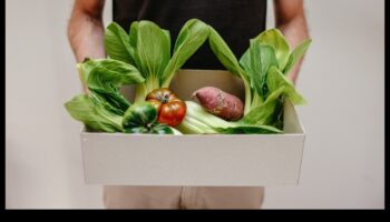 Keto un vides ilgtspējība: holistiska perspektīva