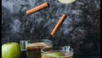 ACV Sensations: ceļvedis neatvairāmu veselīgu eliksīru izgatavošanai