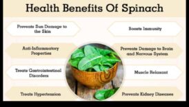 Spinātu sajūta: lapu zaļumu uzturvērtības izmantošana