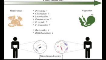 Vegānisms un kuņģa-zarnu trakta harmonija: līdzsvara atrašana