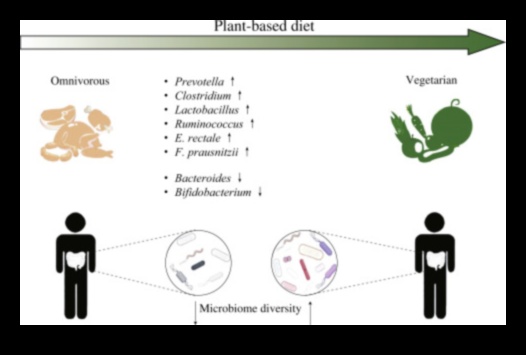Vegānisms un kuņģa-zarnu trakta harmonija: līdzsvara atrašana
