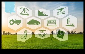 Zaļā revolūcija: ilgtspējīgas enerģijas pozitīvās tehnoloģiskās ainavas veidošana