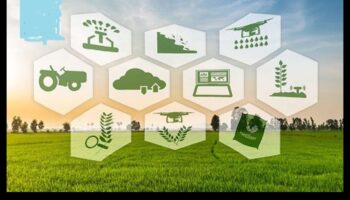 Zaļā revolūcija: ilgtspējīgas enerģijas pozitīvās tehnoloģiskās ainavas veidošana