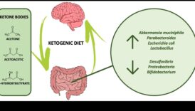 Diētas ar zemu ogļhidrātu saturu un zarnu-smadzeņu ass: divvirzienu komunikācija